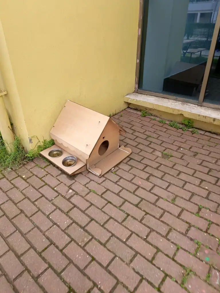 1000054509.webp
