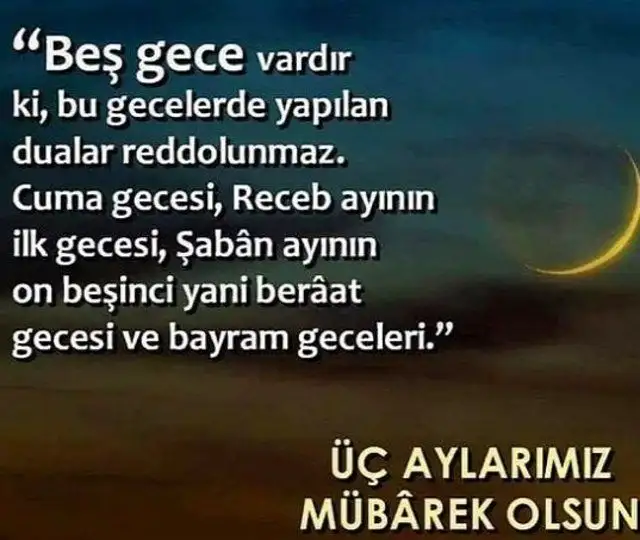 1000054556.webp
