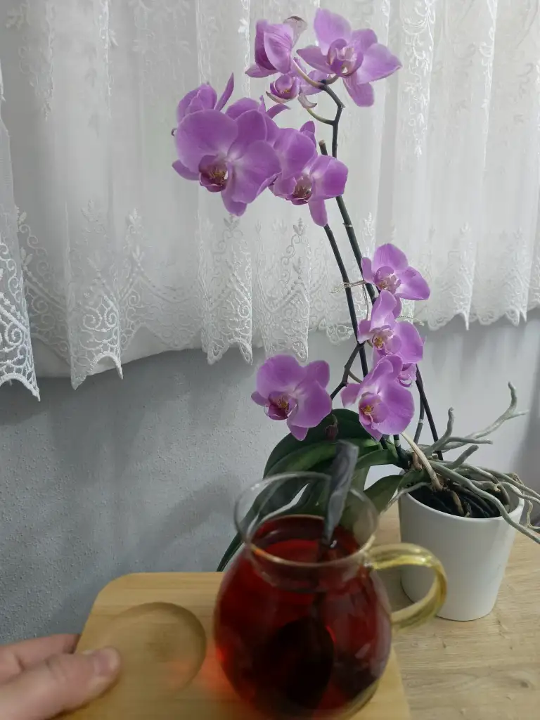 1000055279.webp