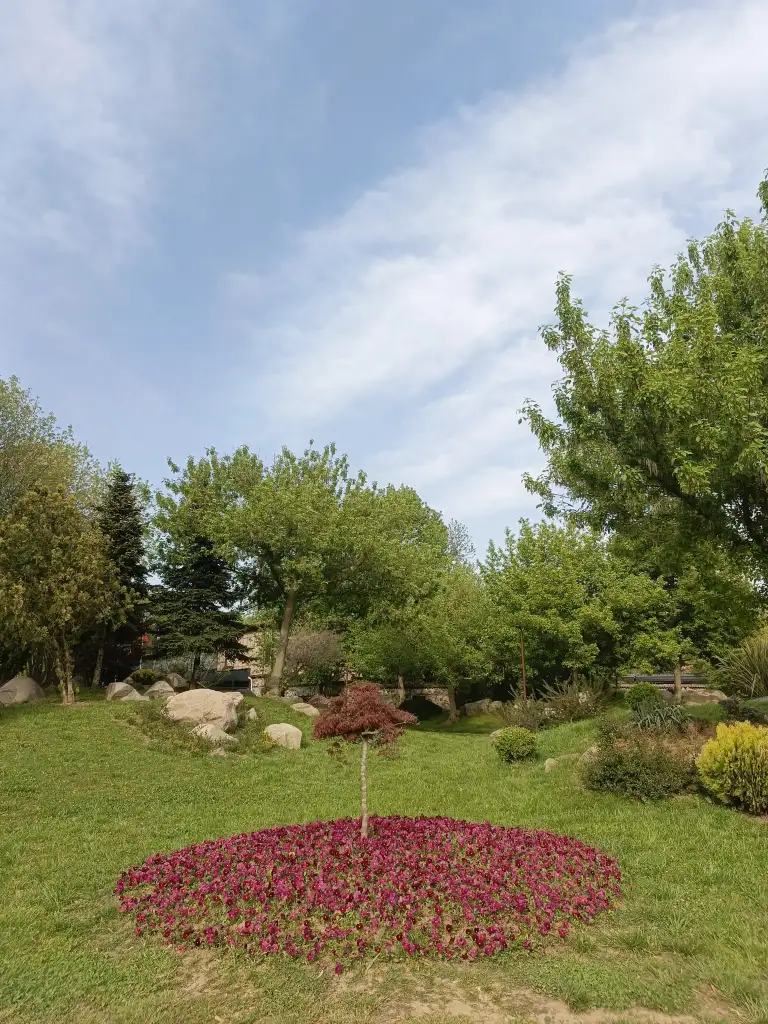 1000056588.webp