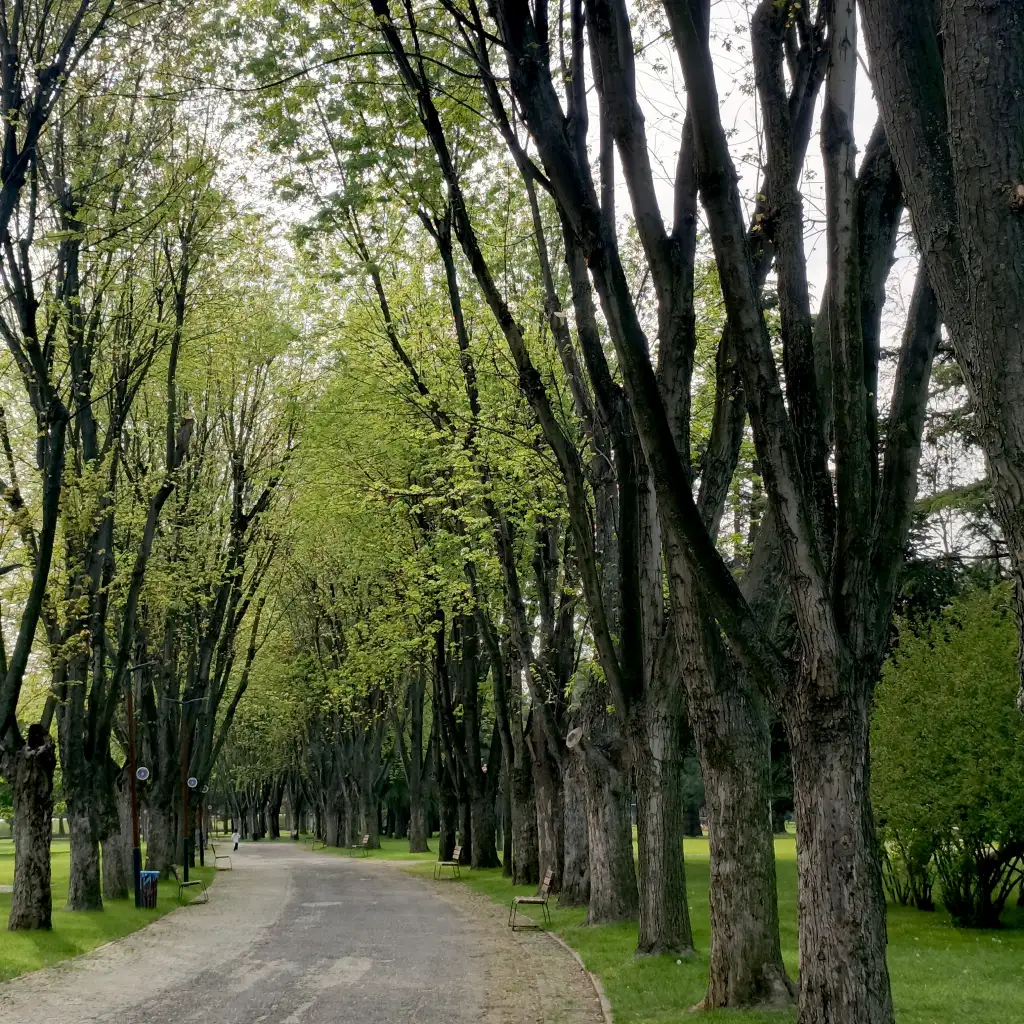 1000056596.webp