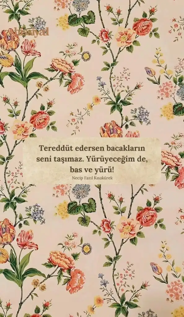 1000056627.webp