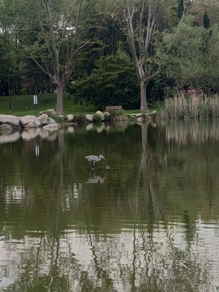 1000056632.webp
