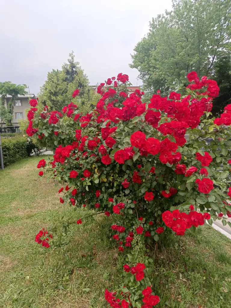 1000058942.webp