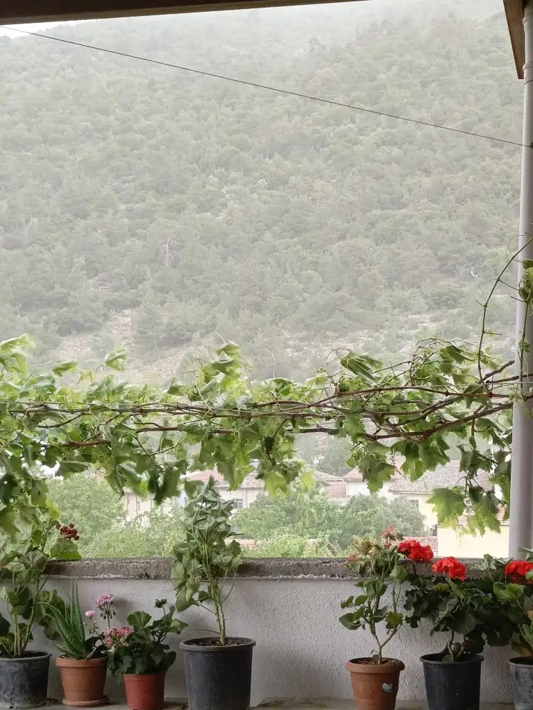 1000061314.webp