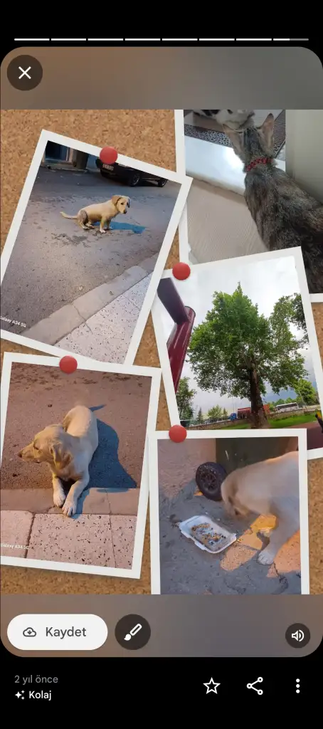 1000062828.webp