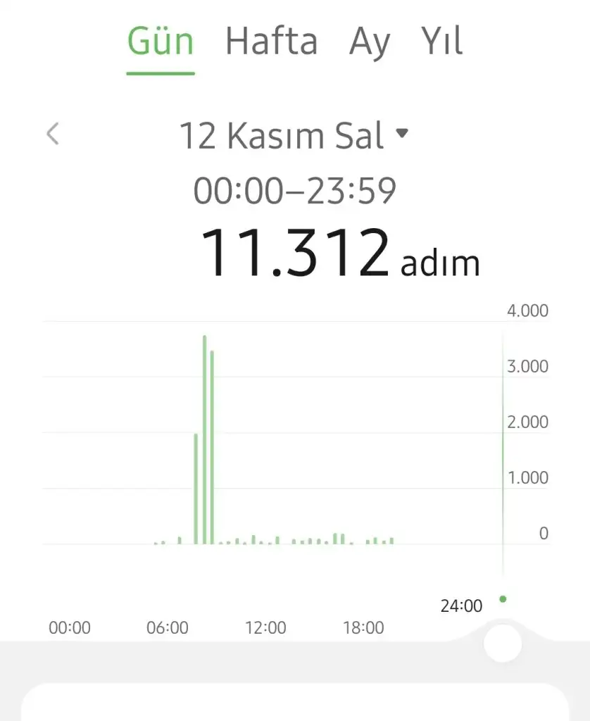 1000063197.webp