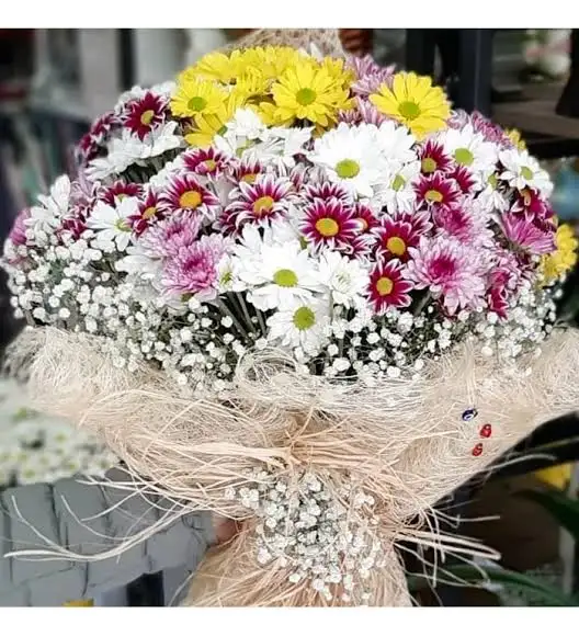 1000064441.webp