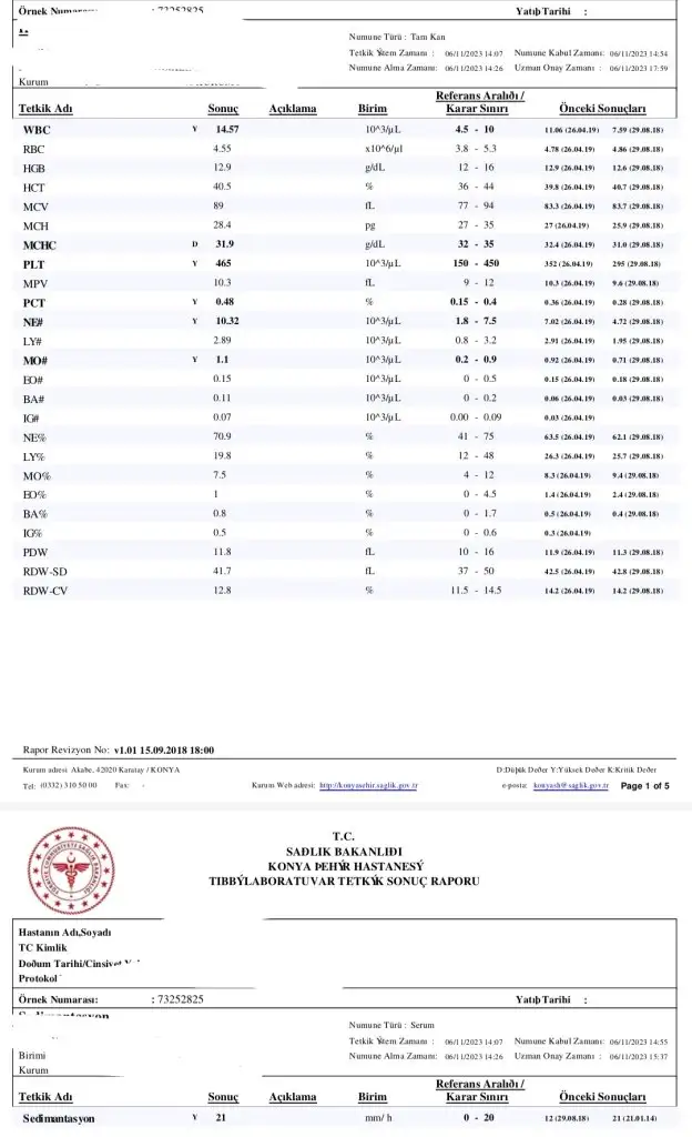 1000065185.webp