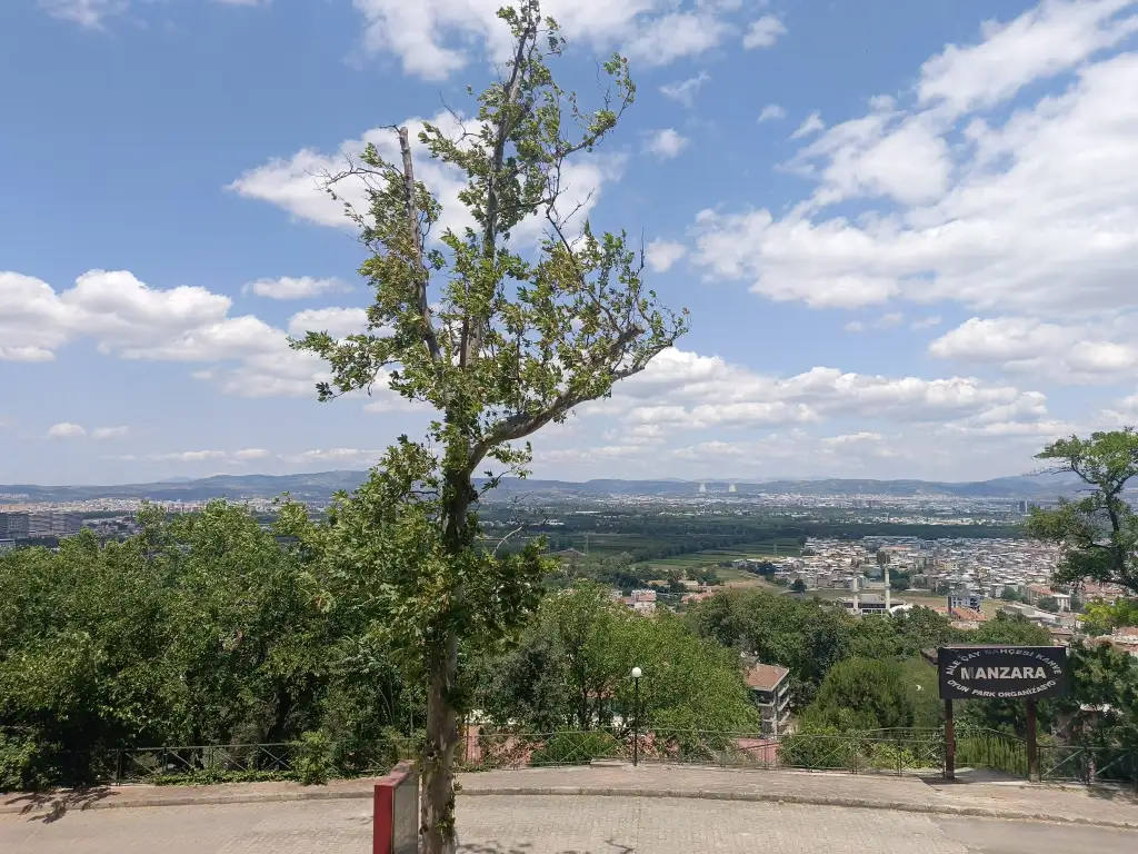 1000066311.webp