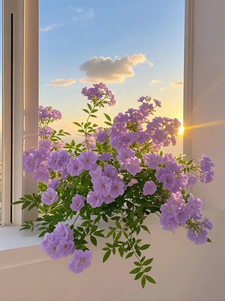 1000066697.webp