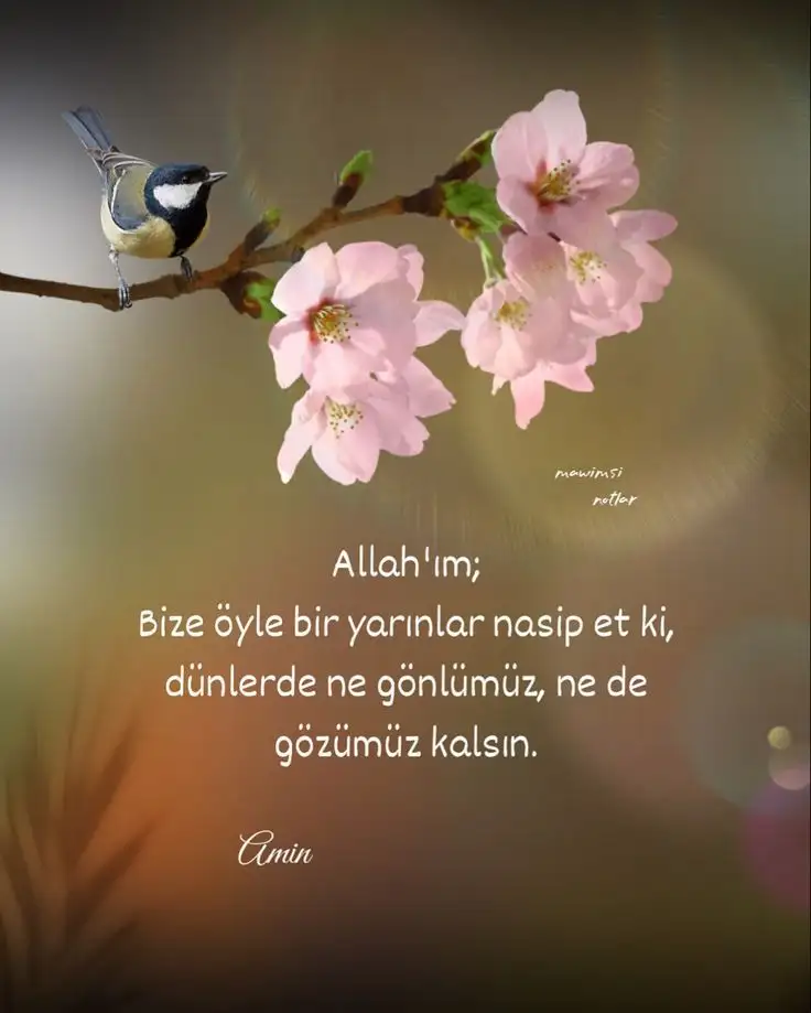 1000068050.webp