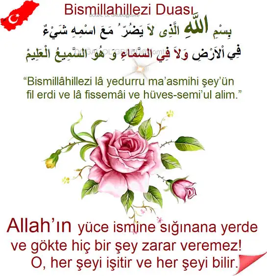 1000070517.webp