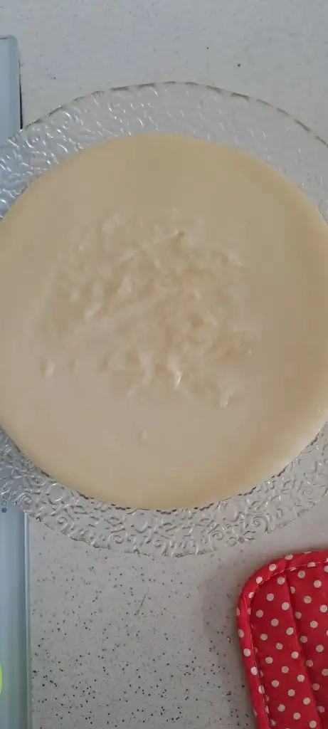 1000072738.jpg