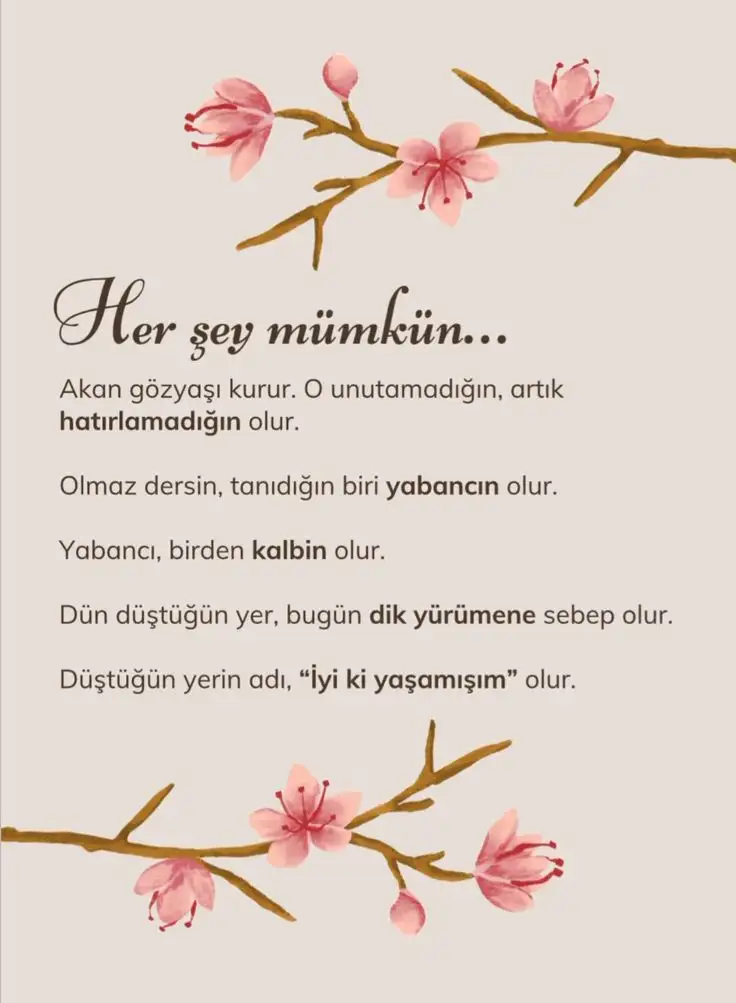 1000075046.webp
