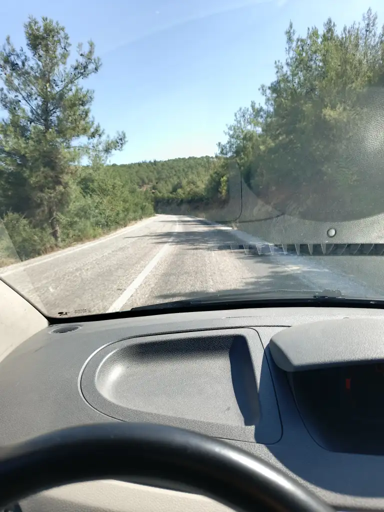 1000075935.webp