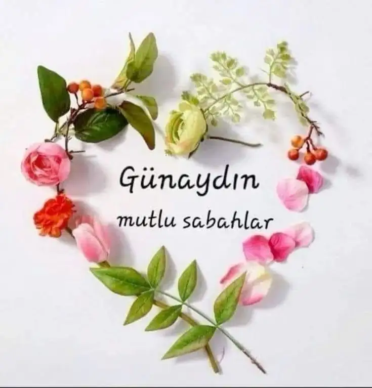1000077330.webp