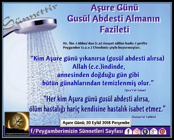 1000081838.webp