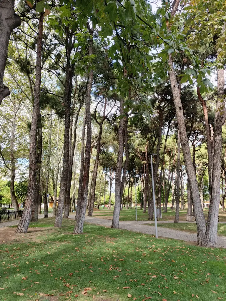 1000083344.webp