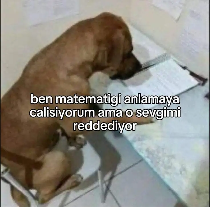 1000087282.webp