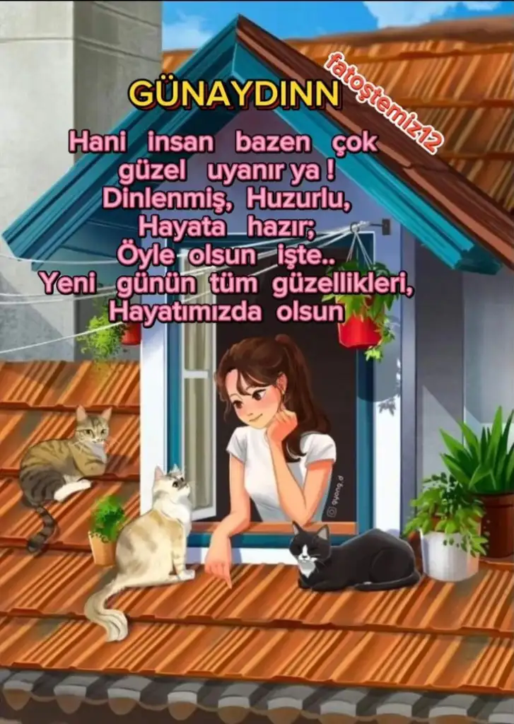 1000087833.webp