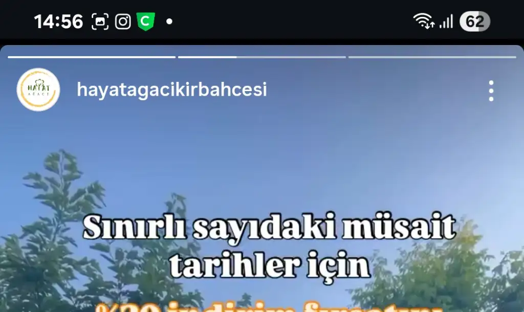 1000092608.webp