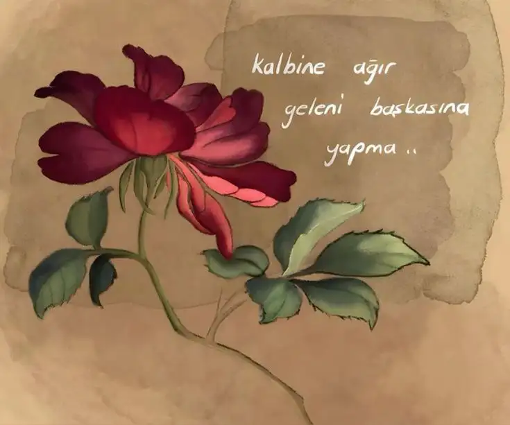 1000093984.webp