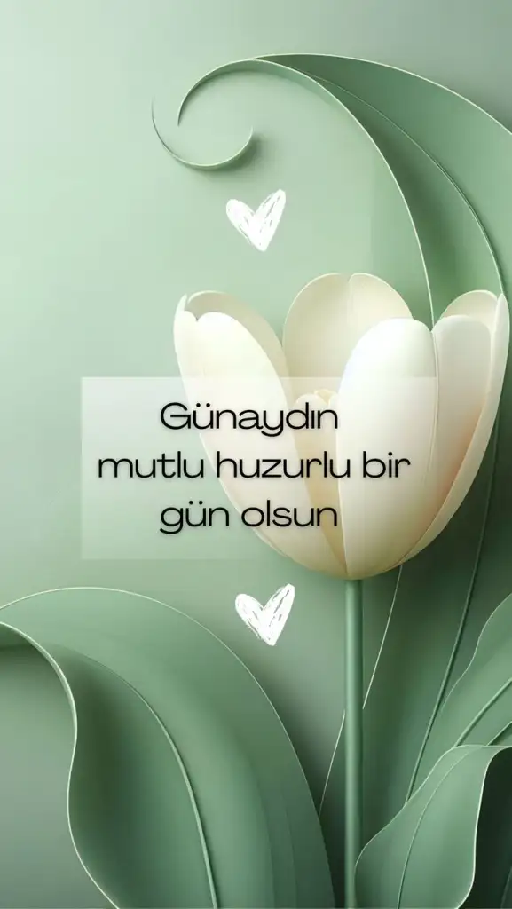 1000098348.webp