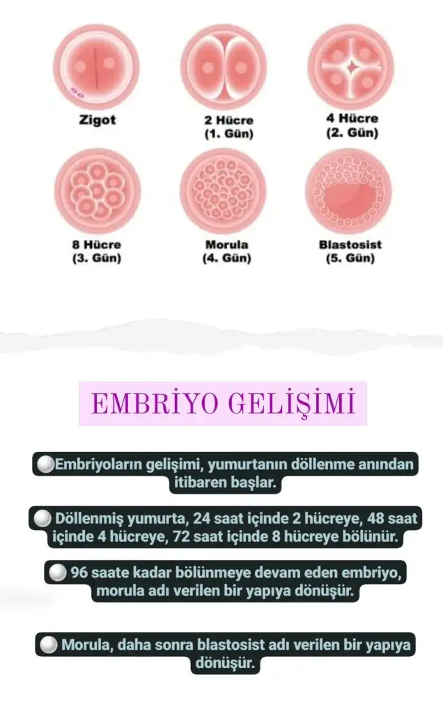 1000107050.webp