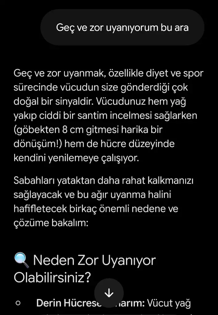 1000109081.webp