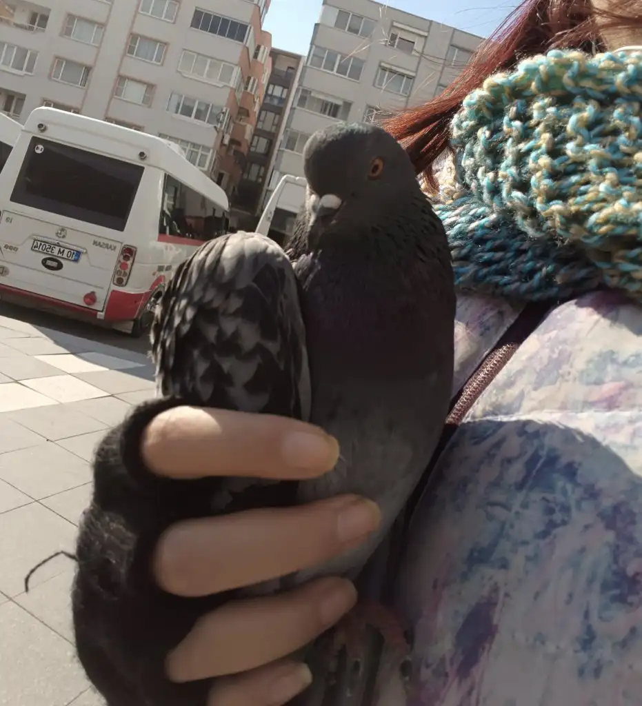 1000111747.webp