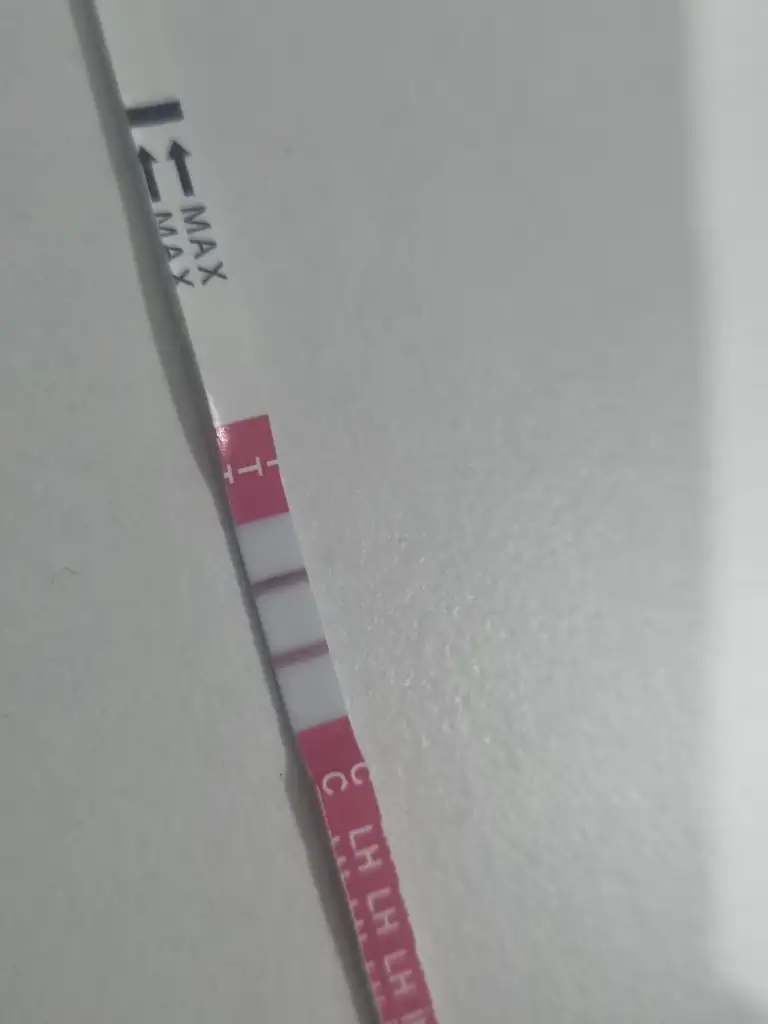 1000141430.webp