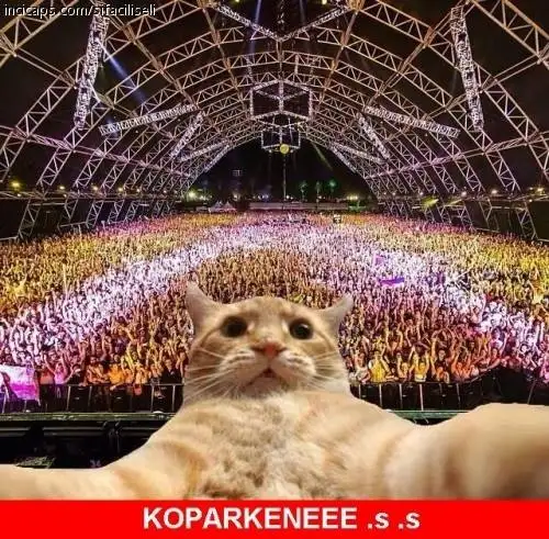 10006921_435184963292574_6199754367432114826_n.webp