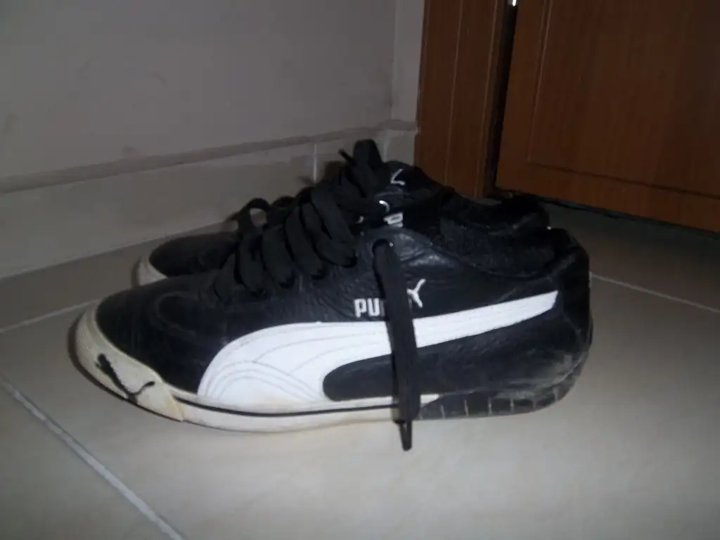 100_3146.webp