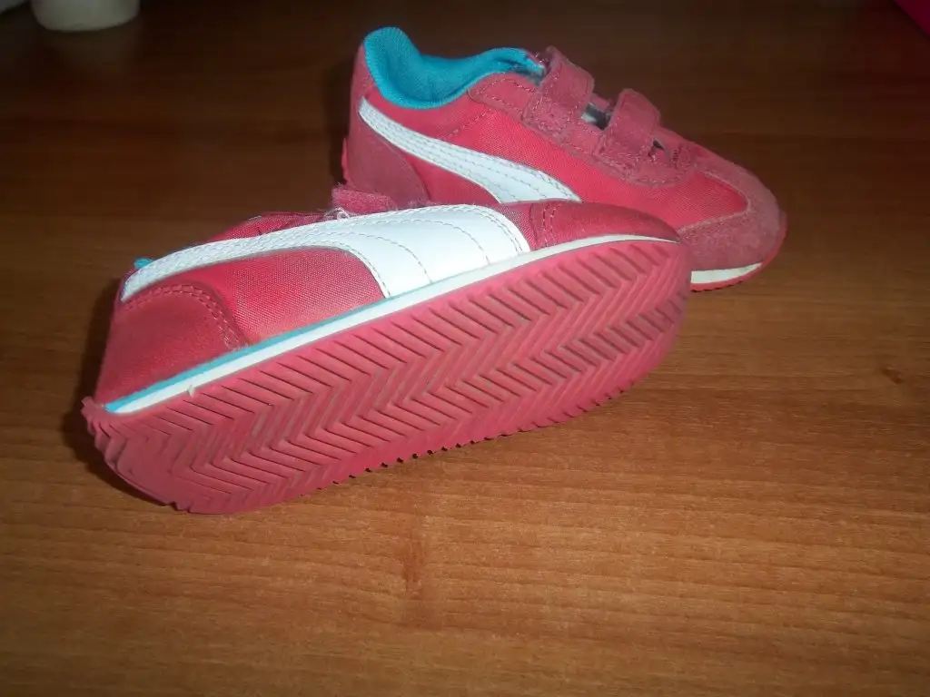 100_4071.webp