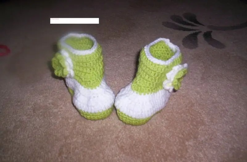 100_4533.webp