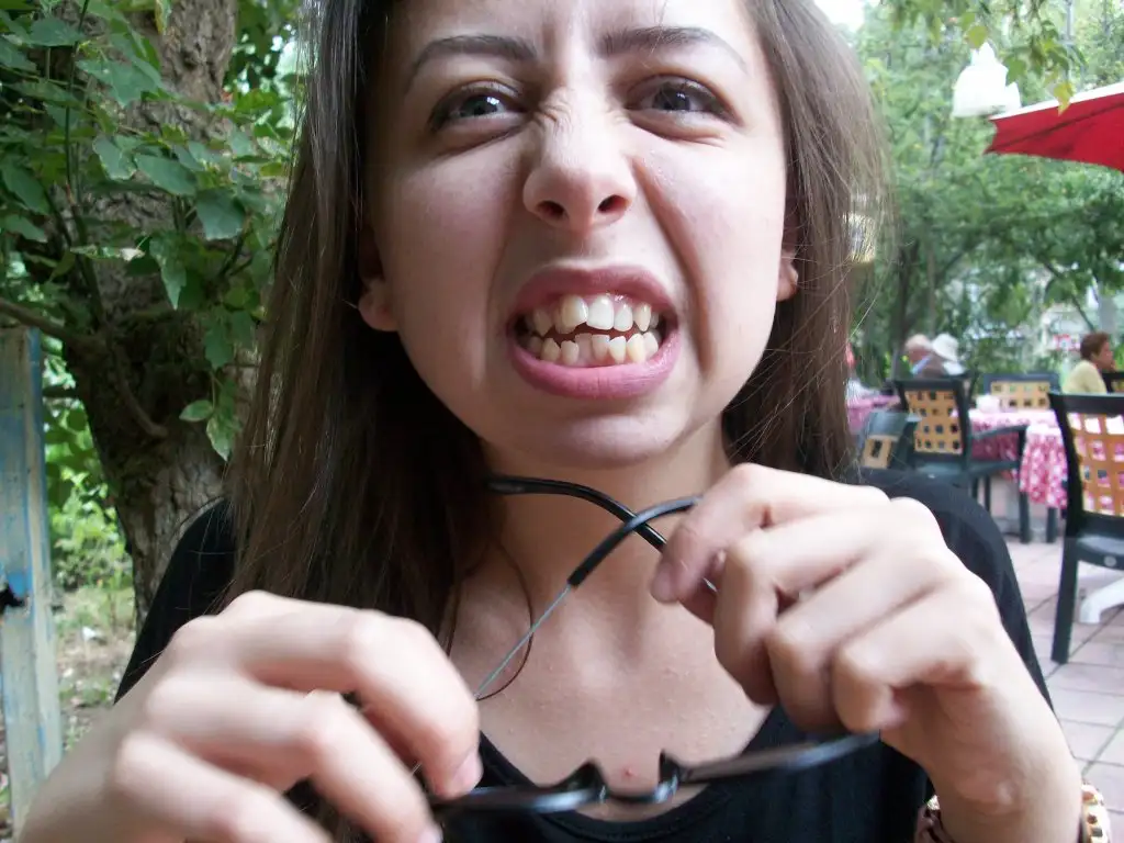 100_5686.webp