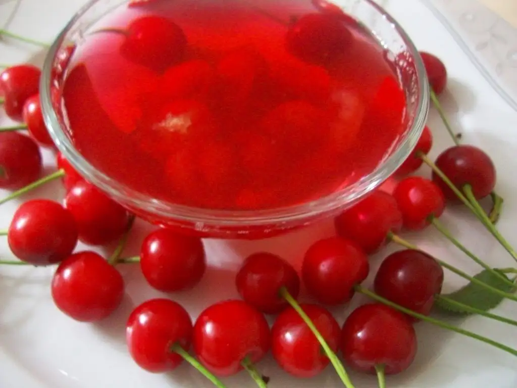 100_8102.webp