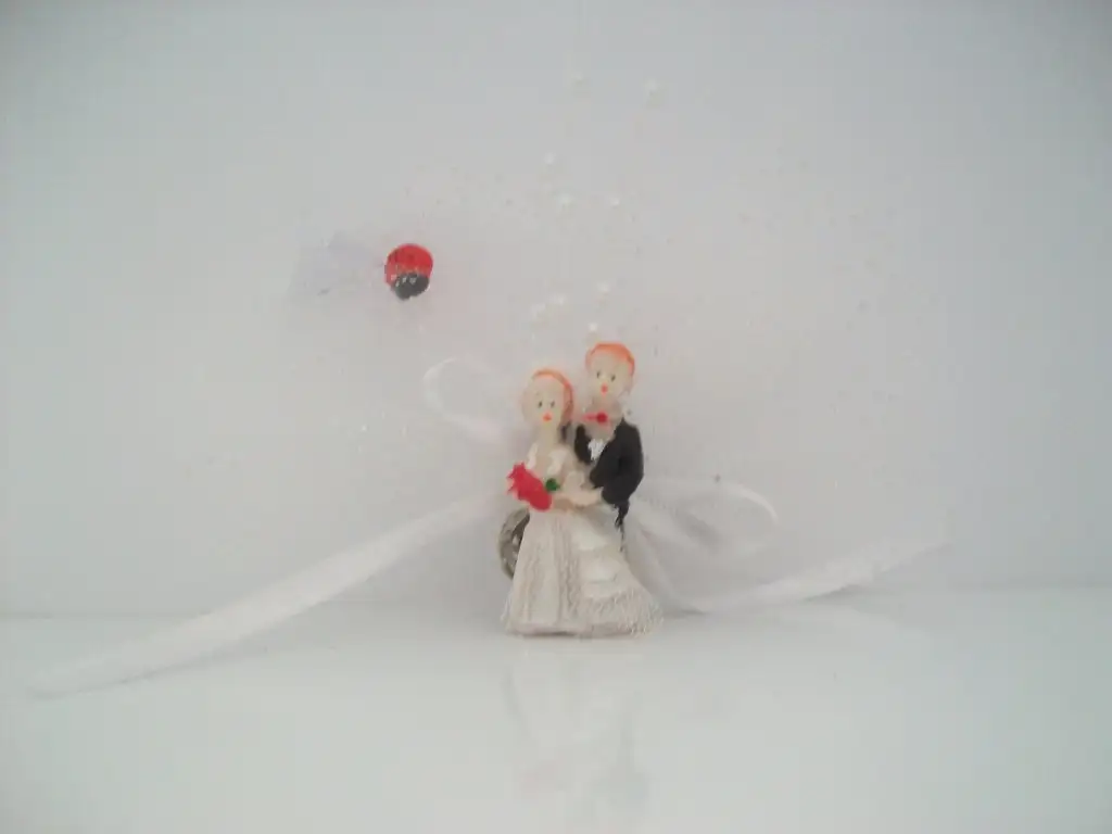 100_8727.webp