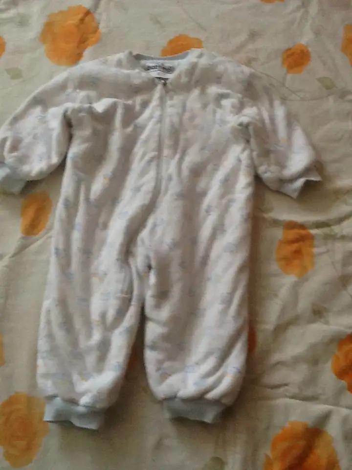 101.webp
