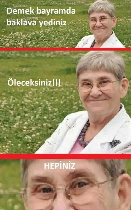 1010491_928305800517079_4504508615223296549_n.webp