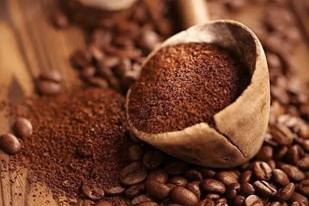 1015920-620x413-728x728.webp