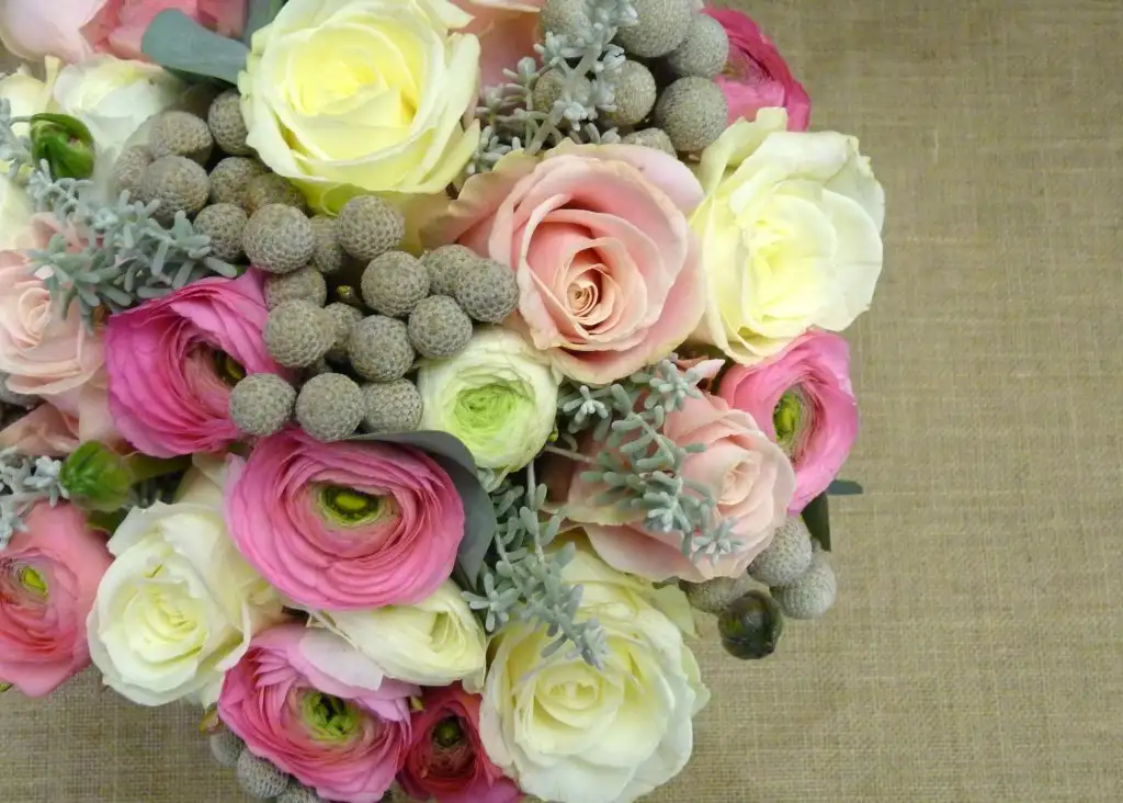 102.webp