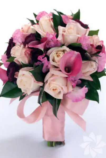 1025674_f69bf269eae6834f6f8ae84134390908_600x600.webp