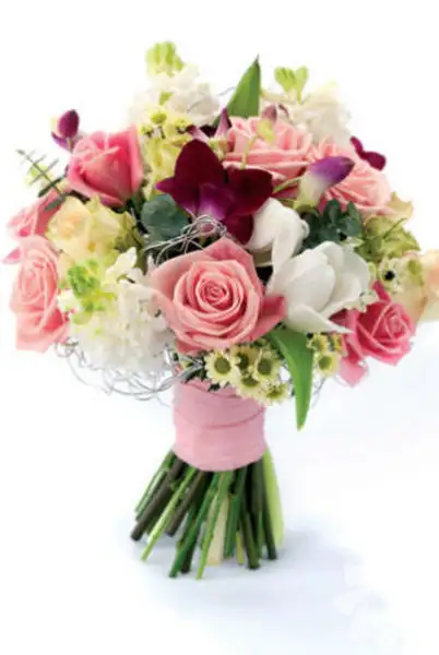 1025674_fbfb011a008da21f3e7bf8356245462b_600x600.webp