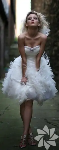 1026575_c265b0b9c31966d6b18832bf9a76a54e_600x600.webp