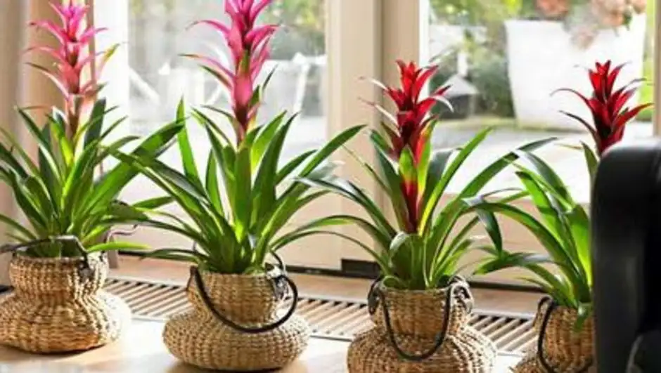 1027891_940x531.webp