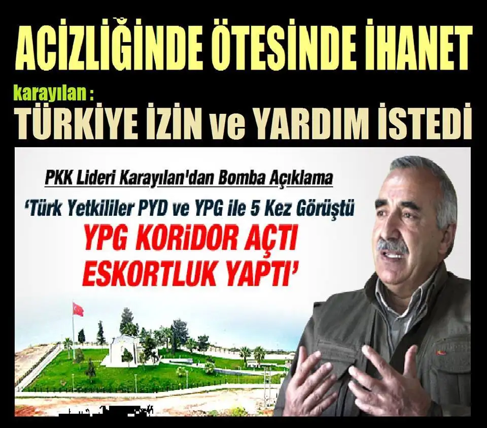 10305041_937125116299914_2787903993740522937_n.webp