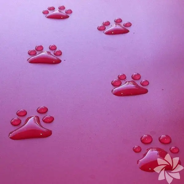 1033213_9d4f1699e54b503306441ce62de43baa_600x600.webp