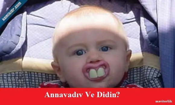 103572-dislek_emzik_d580.webp